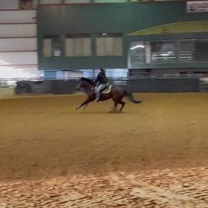 Meet your Posher, Lacy